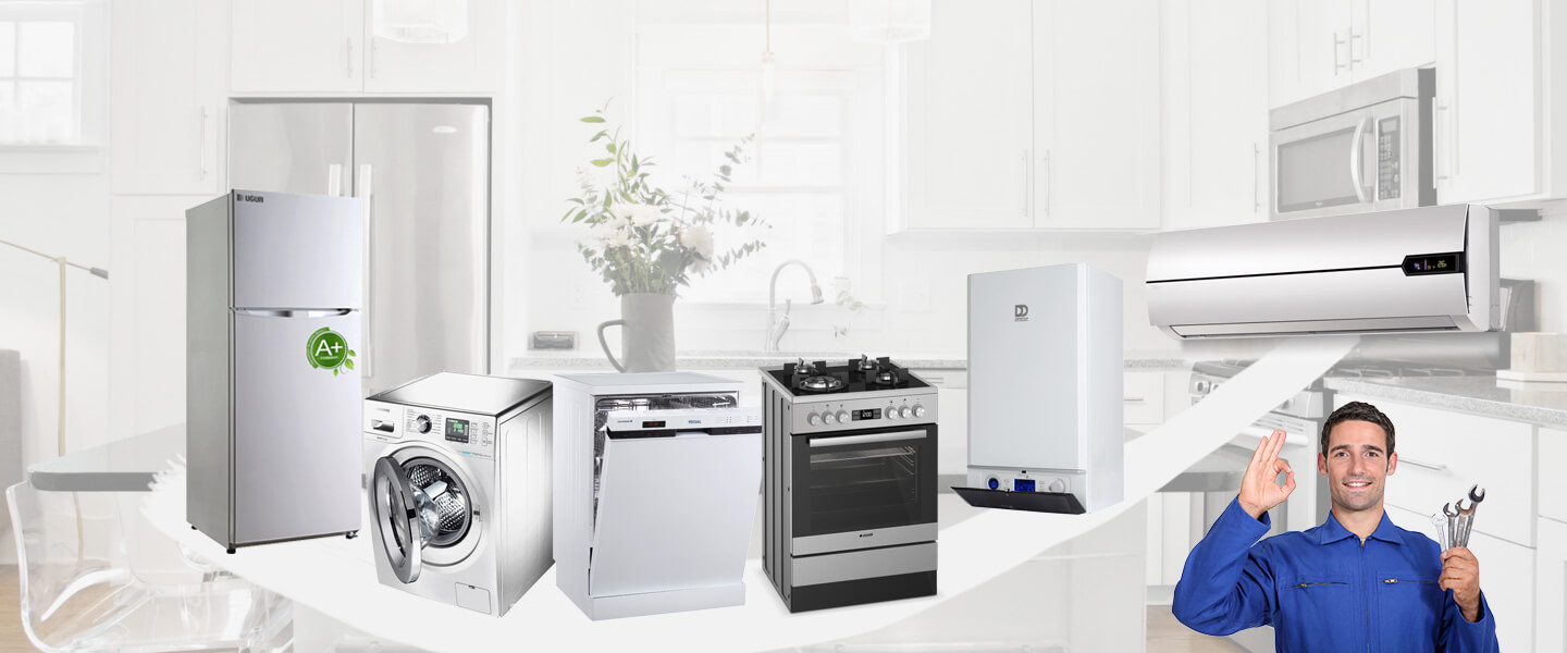 Büyükorhan Gorenje Servisi